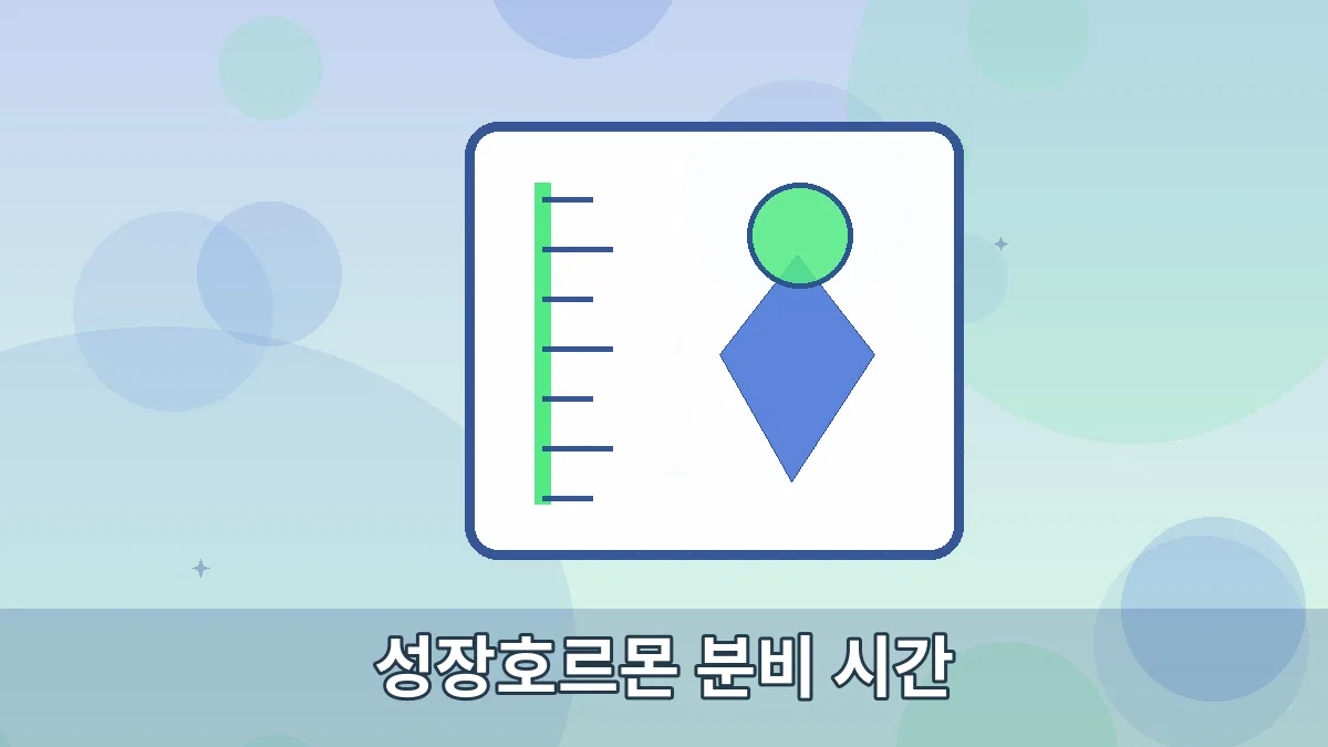 성장호르몬 분비 시간 안내 이미지 5