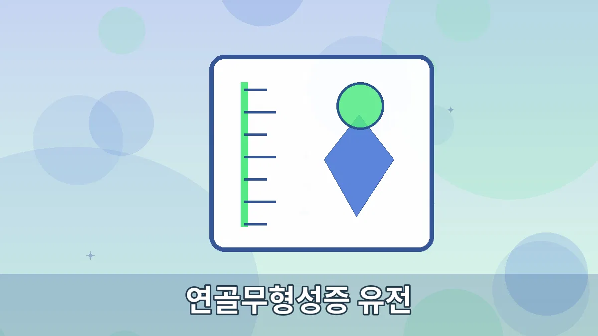 연골무형성증 유전 안내 이미지 5